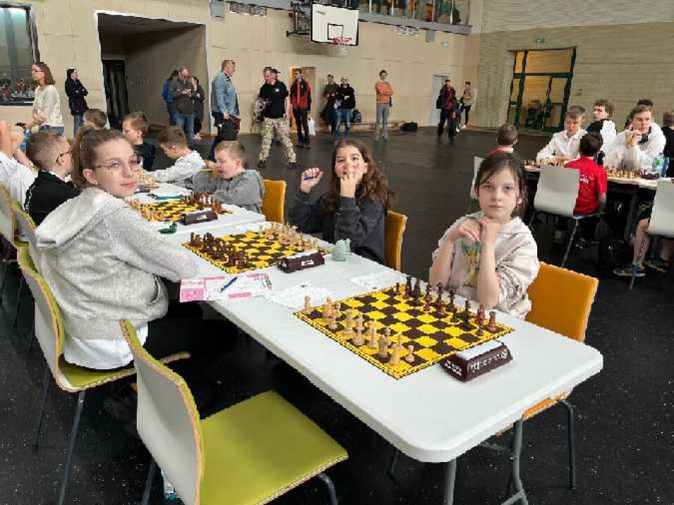 Mistrzostwa Mazowsza Juniorów (DMMJ) w szachach.